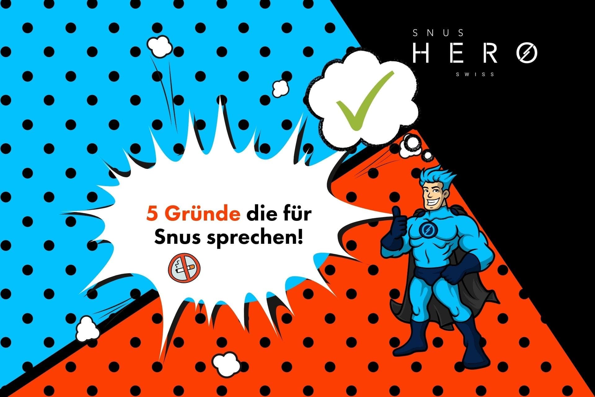 Gründe für Snus Bags