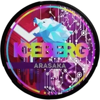 Iceberg-Arasaka